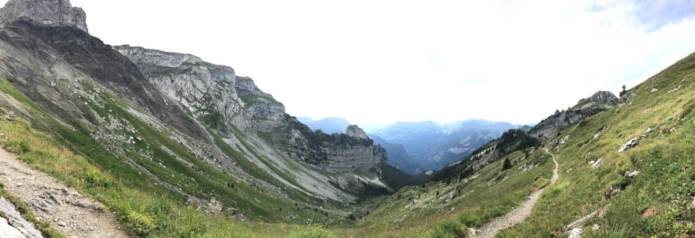 Schynige-platte-natur