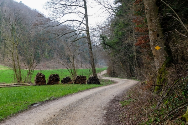 Gemütliche Wanderung durch den Regionalpark Aargau