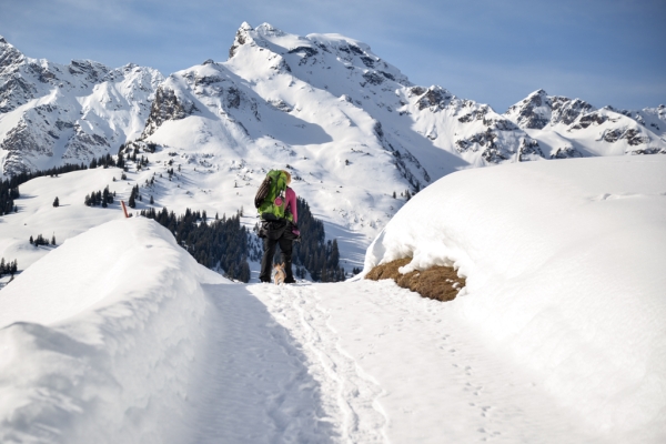 Calme hivernal et glisse pour la fin