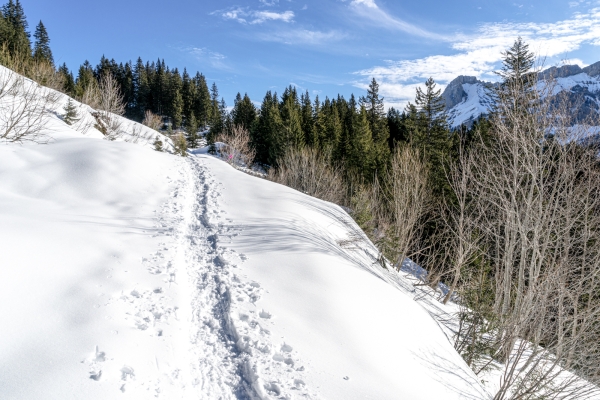 Sonne geniessen vor den schattigen Diablerets