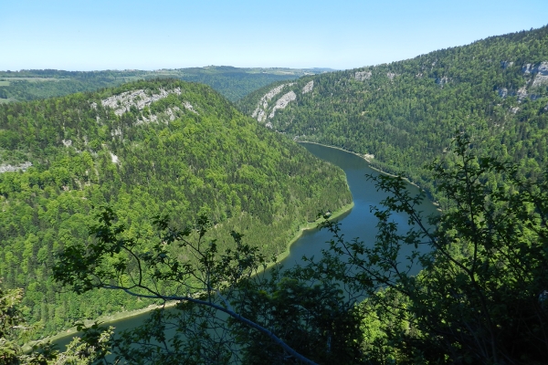 Falschmünzern auf der Spur