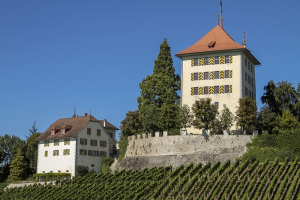 Von Schloss Hallwyl nach Schloss Heidegg