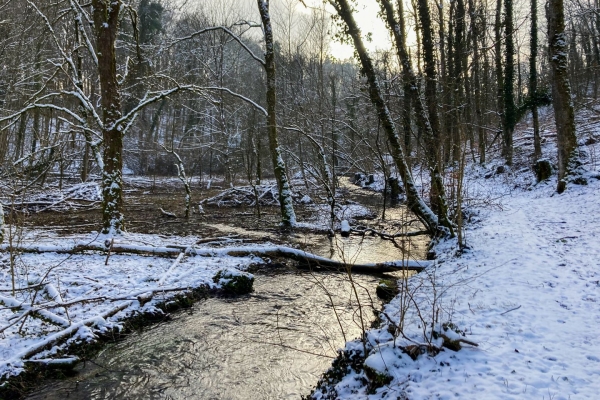 Wanderung im Reiat im Naturpark Schaffhausen