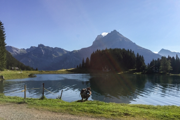 Der bewachte Bergsee