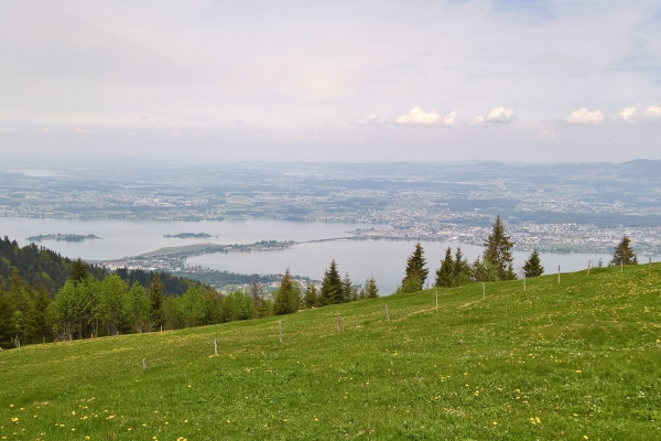 Pascoli fra il lago di Sihl e il lago di Zurigo
