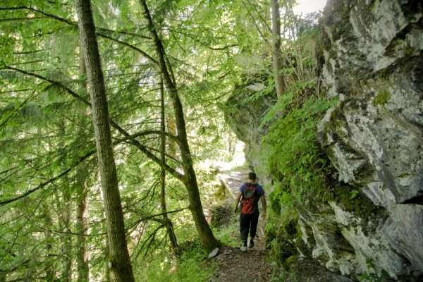 Igel im Weisstannental