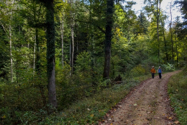 Dans le parc naturel du Jura argovien