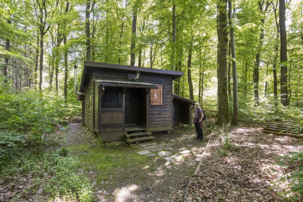 Hiboux et chouettes dans la campagne zurichoise