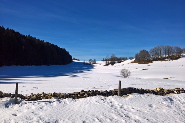 Se perdre dans les Franches Montagnes