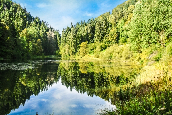 Etangs et pâturages des Franches-Montagnes