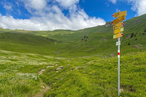 Sur le chemin d’altitude du Prättigau au Jägglisch Hora