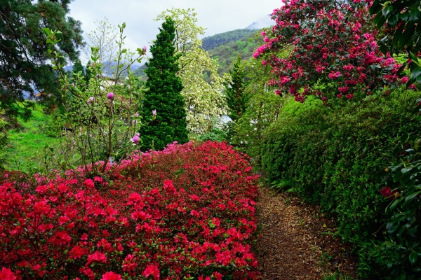 Le Gambarogno au printemps