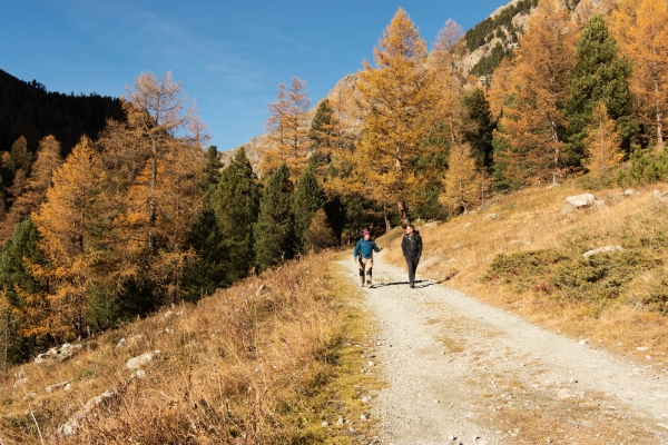 Les Andes en Engadine