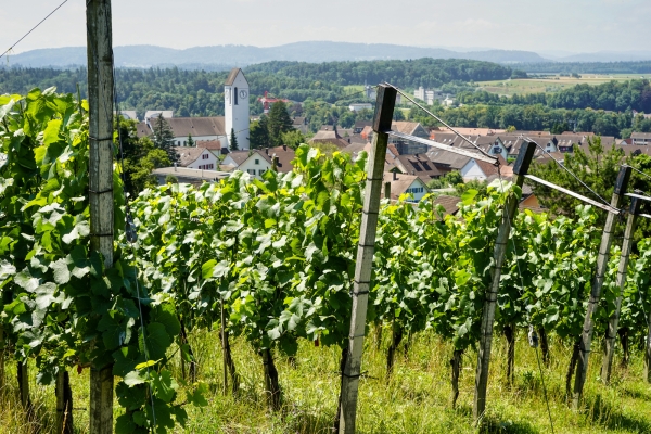 Von Brugg zum Wasserschloss der Schweiz