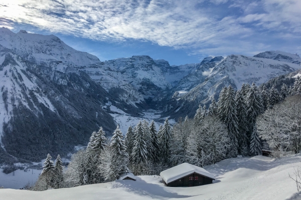 Dans le bois enchanté sous l’Ortstock (GL)