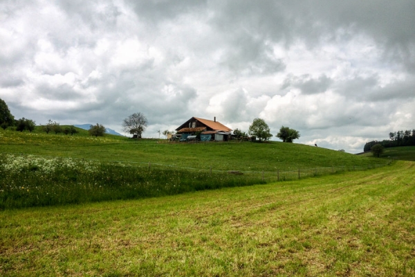 Sur le Chemin des préalpes fribourgeoises