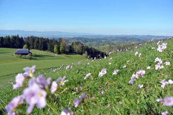 Les monuments de l’Emmental