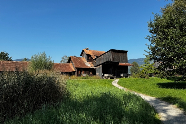 Halbtageswanderung im Bannriet