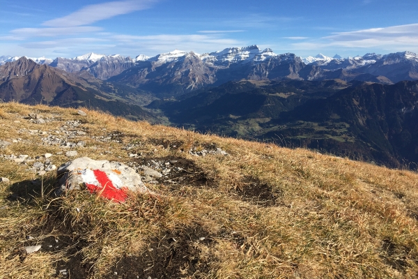 Les mythiques Tours de Leysin