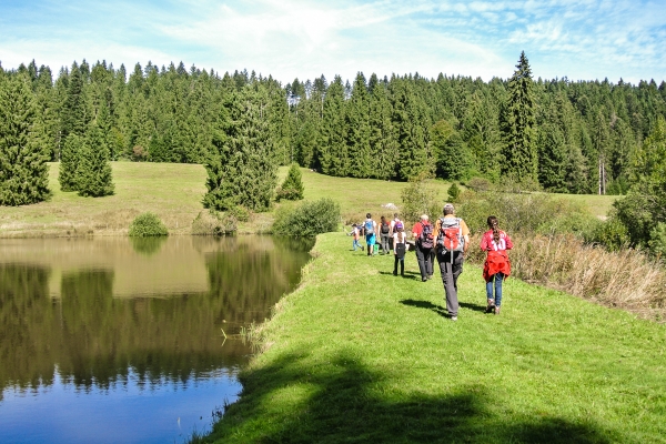 Teiche und Pferdeweiden in den Freibergen