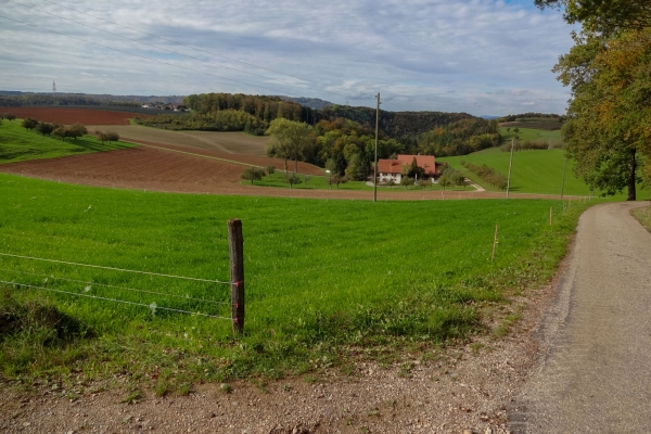 Dans le parc naturel du Jura argovien