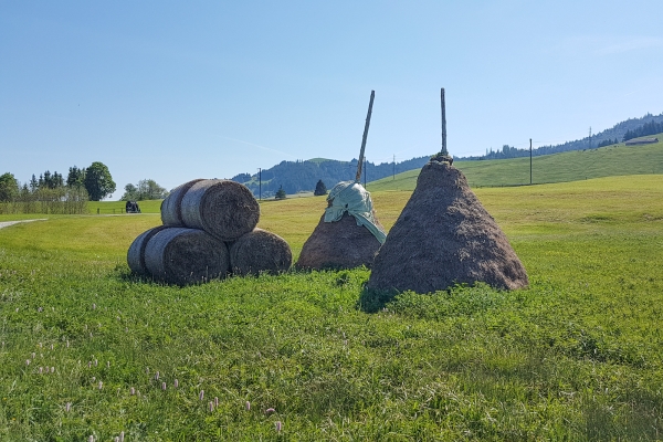 Durch das Hochmoor zum Kloster Einsiedeln