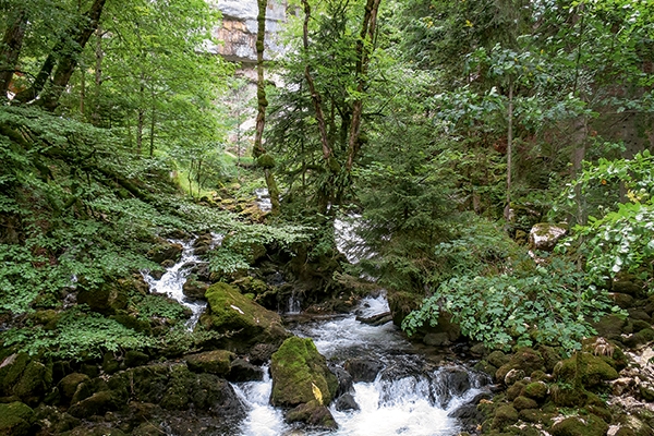 Von Le Pont nach Vallorbe 