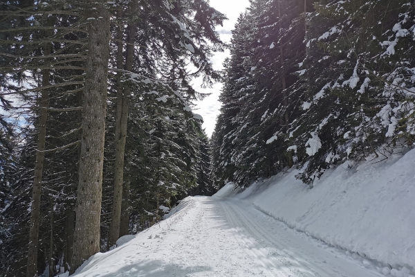 Winterliche Tour im Tal der Salentse