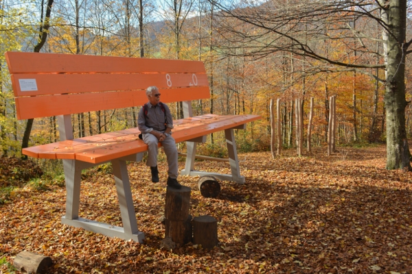 Durch das herbstliche Homburgtal 