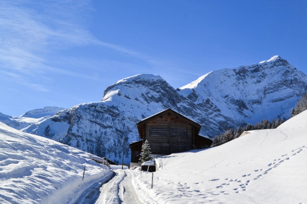 Winterzauber im Saanenland