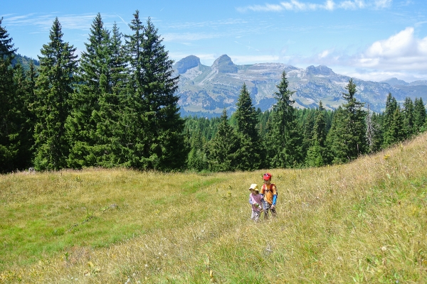 In den Waadtländer Alpen