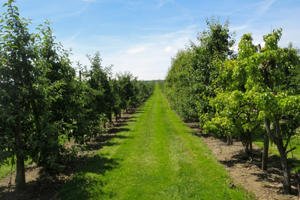 Parcours sans obstacles au bord du lac