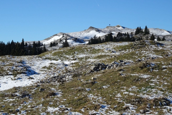 Sur le Mont Tendre dans le Parc Jura vaudois