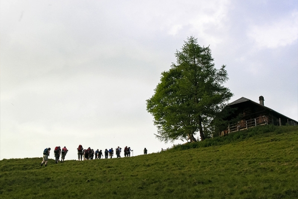 Durchs Naturparadies auf die Alp