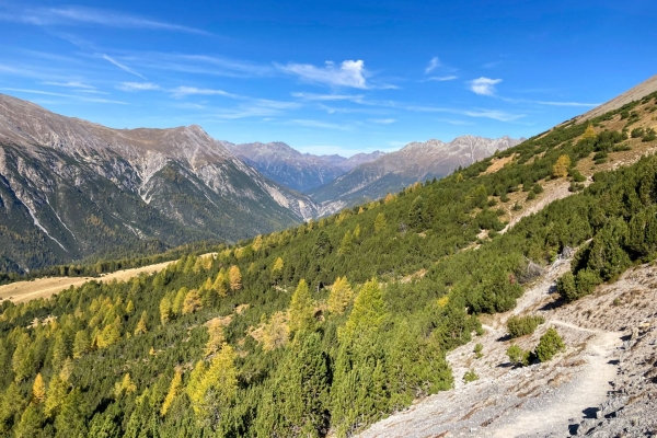 Sur le Munt la Schera dans le Parc national suisse