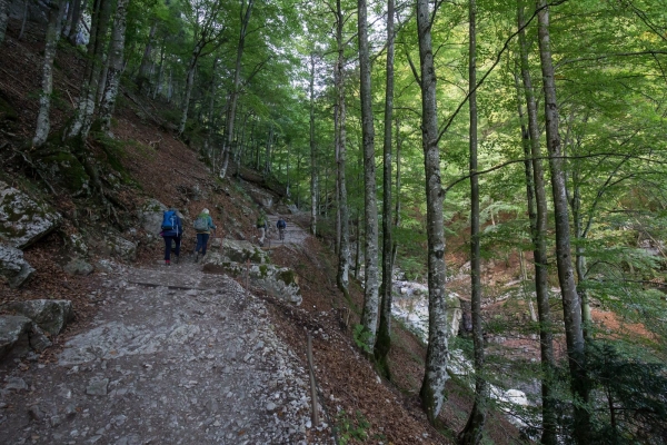 Randonnée raide au col du Bogartenlücke