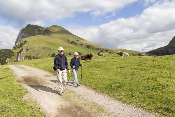 Le sentier d’observation de la faune