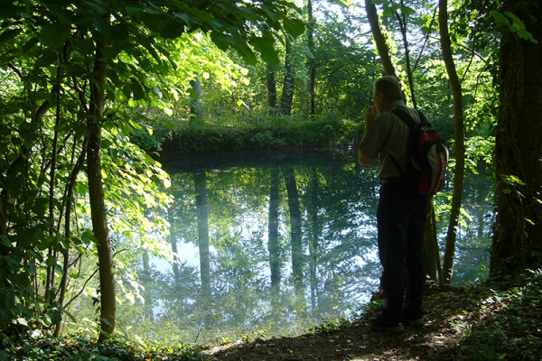 Chasse aux citrouilles à Pfungen