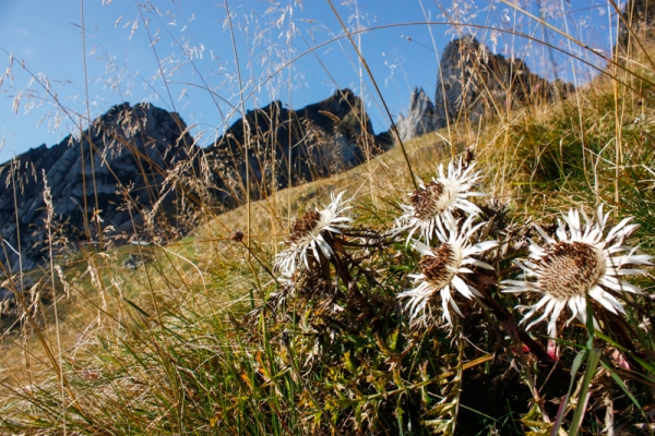 La décroissance totale au Säntis