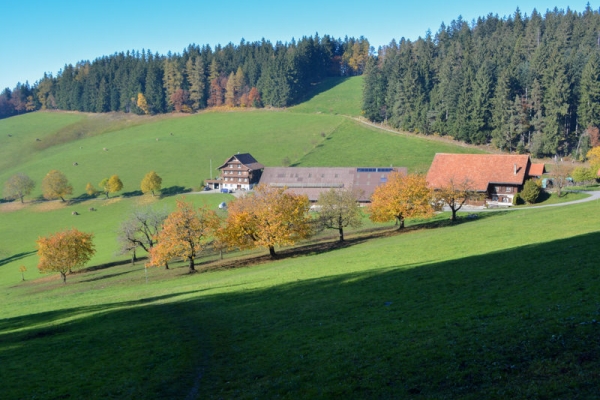 Randonnée d’automne sur le Muetegg