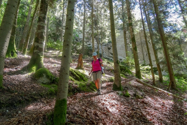 Schattig und kühl unterwegs im Jura