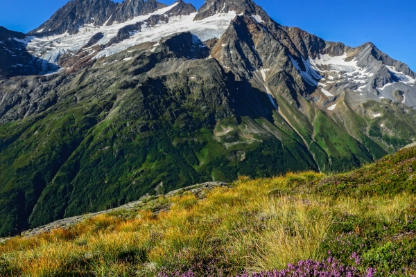 La nature à l’état pur