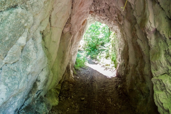 Fraîcheur et ombrage dans le Jura