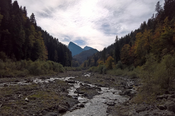 Sur le chemin de la vallée