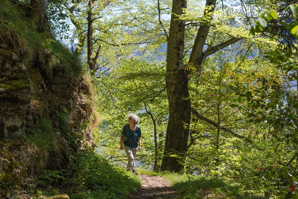 Über den Lopper zum Renggpass