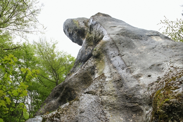 Roche druidique près de Bourrignon JU