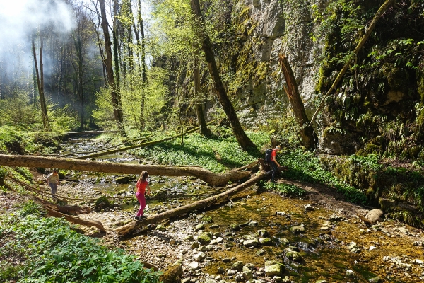 Grottes préhistoriques