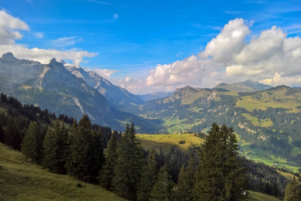 Das Saanenland von oben