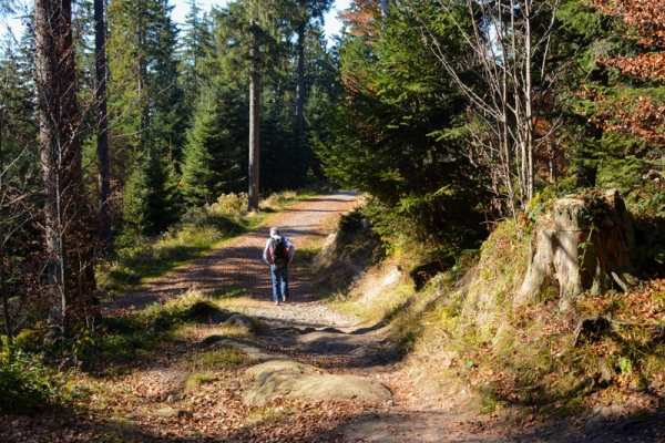 Herbstwanderung über die Muetegg 