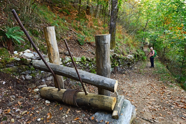 Nel bosco autunnale di Lodano